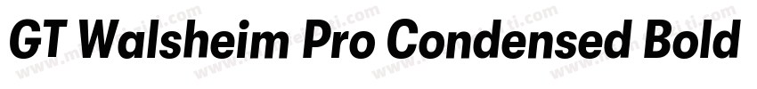 GT Walsheim Pro Condensed Bold字体转换